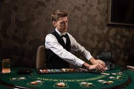 Studio Dragon Tiger Live tuantogel Studio Dragon Tiger Live tuantogel